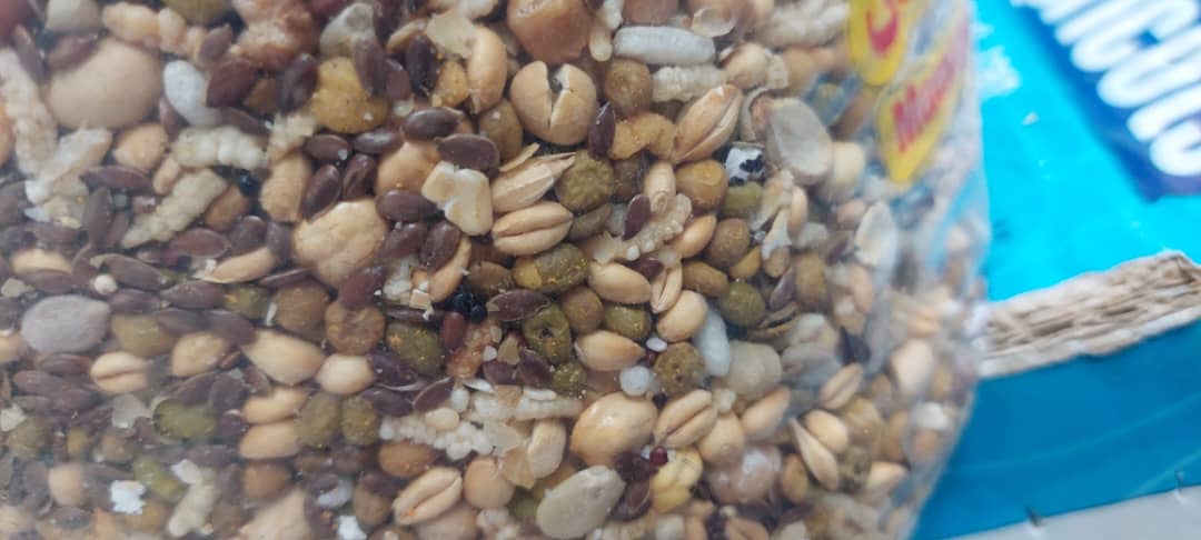ارسال سریع و مطمئن