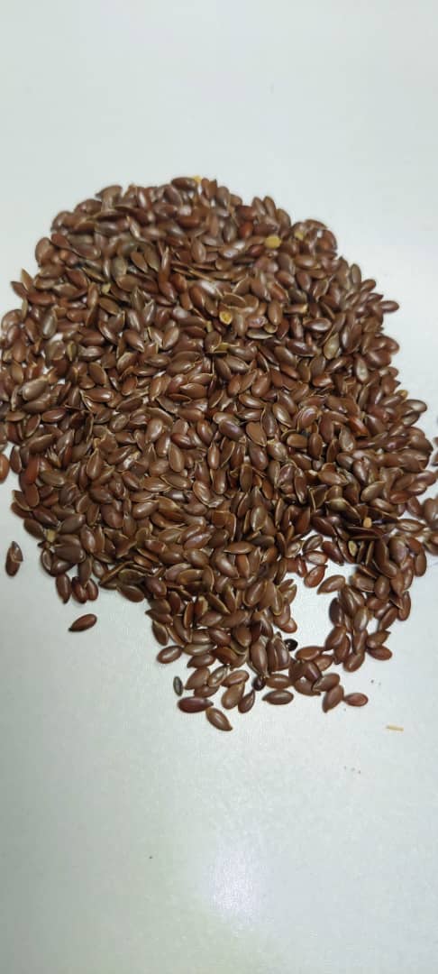 قیمت مناسب و رقابتی